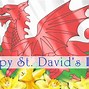 Image result for St. David's Day Meme