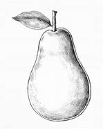 Image result for Black and White Engraving Pear