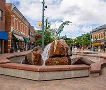 Image result for You Fort Collins