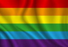Image result for Bendera Pelangi LGBT