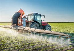 Image result for Bad Pesticides