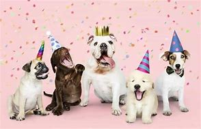 Image result for Dogs Celbrating Image