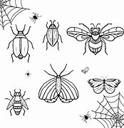 Image result for Insects and Bugs Drawing