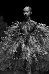 Image result for Haute couture