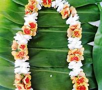 Image result for Real Flower Leis