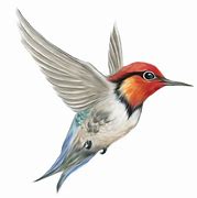 Image result for Bird Clip Art Transparent