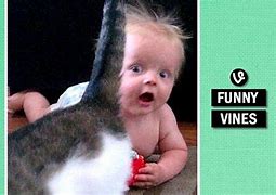 Image result for Funny Baby Videos Vine