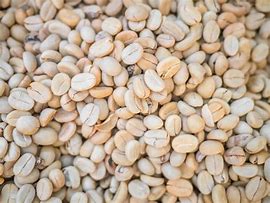 Image result for Unroasted Coffee Beans
