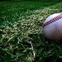 Image result for Painting Baseball Bat