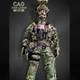 Image result for Delta CAG