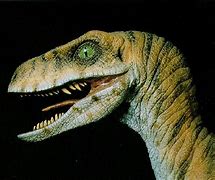 Image result for Raptor Velociraptor