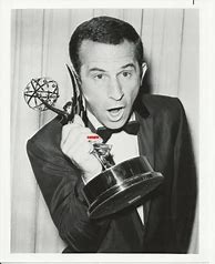 Image result for Don Adams Wins an Emmy