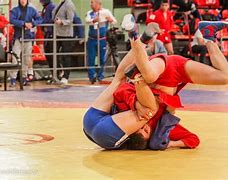 Image result for Sambo Russia