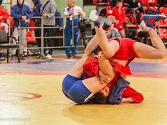 Image result for Sambo Russia