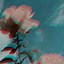 Image result for Aesthetic iPad Wallpaper Flower
