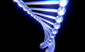 Image result for Difference Between Gene and DNA