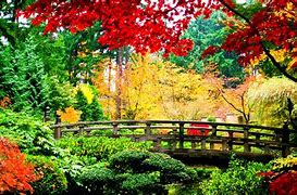 Image result for 1920X1080 HD Japan Nature