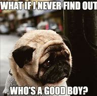 Image result for Pug Life Meme