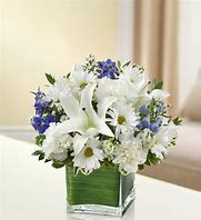 Image result for 148683L Blue and White Healing Tears
