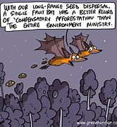 Image result for Funny Fruit Bat Meme