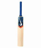 Image result for Cricket Bat and Shoes Photos