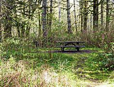 Image result for Folding Picnic Table