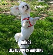 Image result for Latin Dance Meme