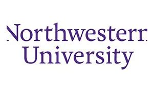 Image result for Northwestern University Mug