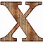 Image result for Letter X Icon Big and Small Letter