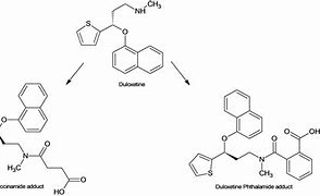 Image result for Semi-Solid Excipients