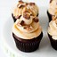 Image result for Amazing Cupcakes