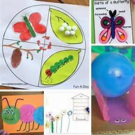 Image result for Life Science Activities for Preschoolers