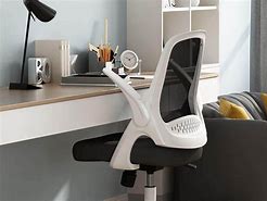 Image result for Best Desk Chair for People with Lower Back Pain
