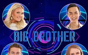 Image result for Big Brother Cast