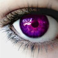 Image result for Purple and Pink Eyes