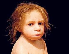 Image result for Neanderthal Baby