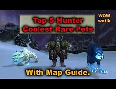 Image result for Exotic Hunter Pet Guide