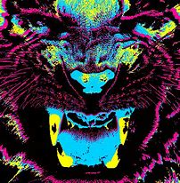 Image result for Trippy Animals