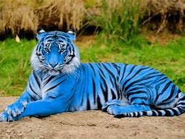 Image result for Earth Day Tiger