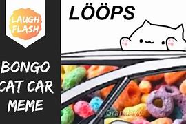 Image result for Cat Car Meme