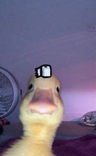 Image result for Duck Meme Paintings