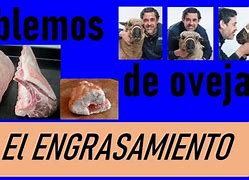 Image result for aguijonamiento