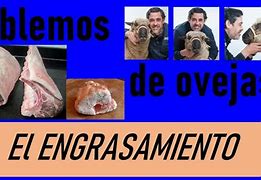 Image result for engollamiento