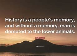 Image result for Difference Between History and Memory