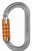 Image result for Auto Locking Carabiner