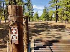 Image result for Arizona Trail Going Down Path