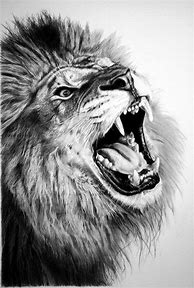 Image result for Pencil Drawings of Animals