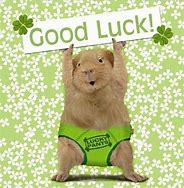 Image result for Luck Just Our Luck Meme