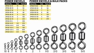 Image result for Size 0 Swivel