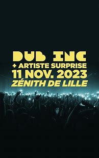 Image result for Dub Inc Concert